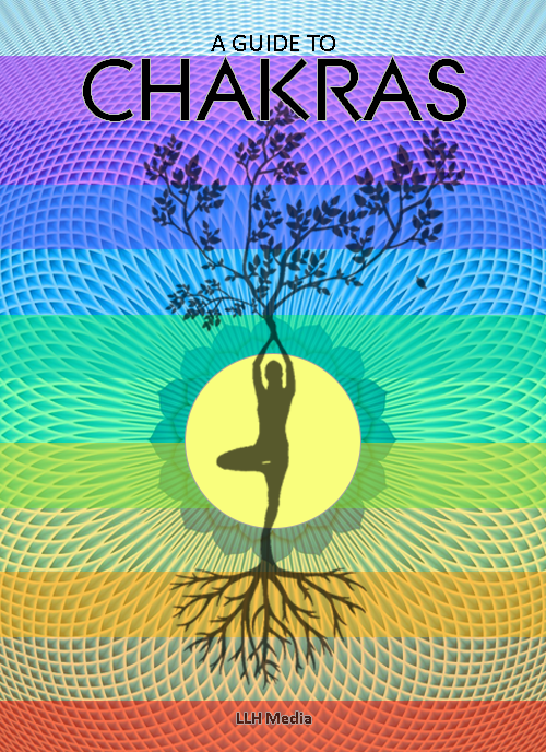 Chakra Training Manual ( with Master Resell Rights ) - Predicting My Future