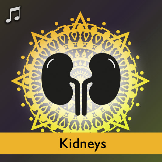 6 Healing Sounds - Kidneys