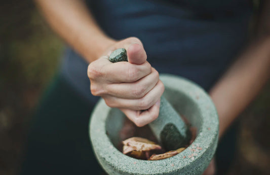 A Deep Dive into Herbal Medicine Nature's Remedies