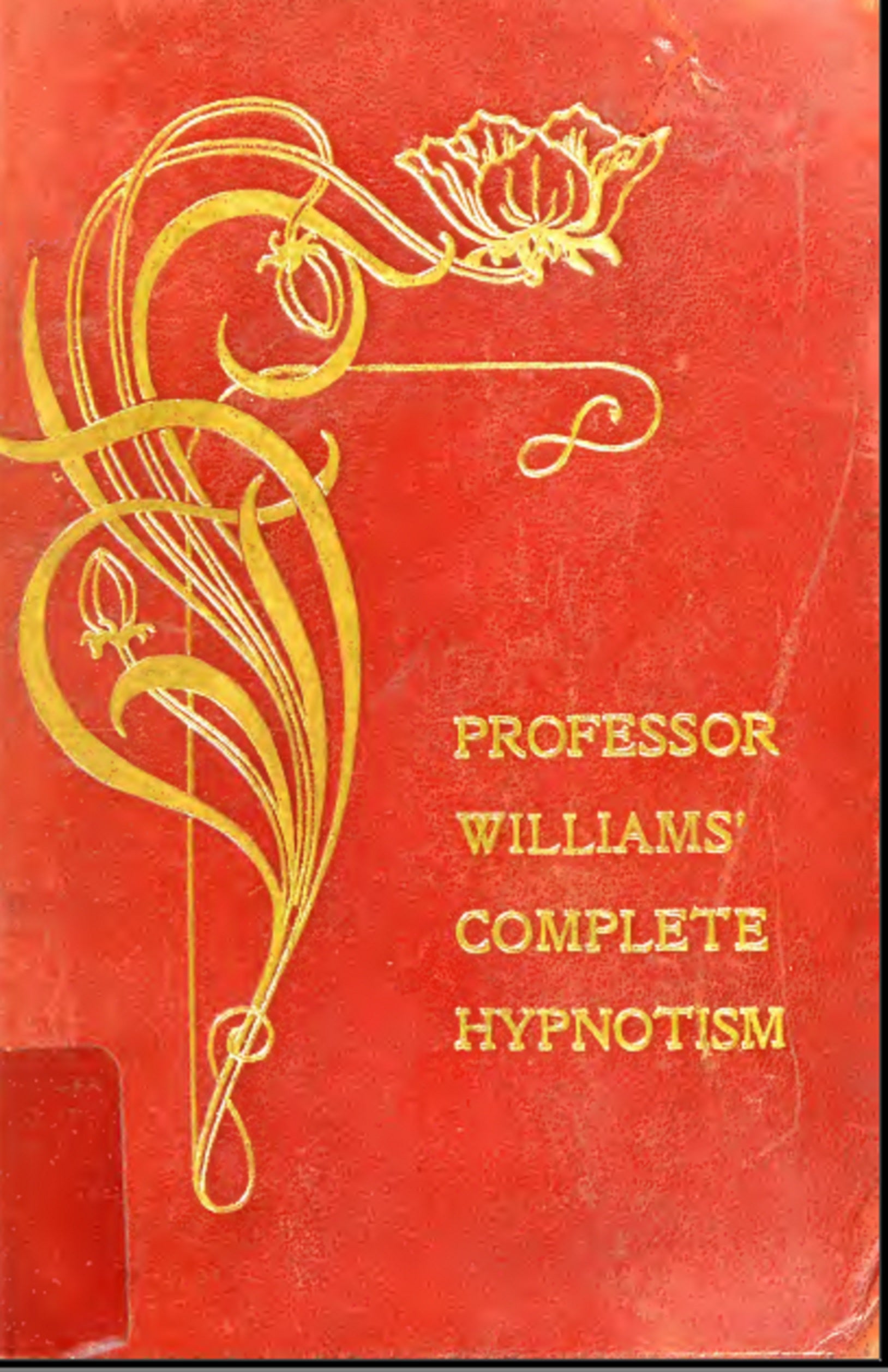 Professor Williams Complete Hypnotism - Predicting My Future