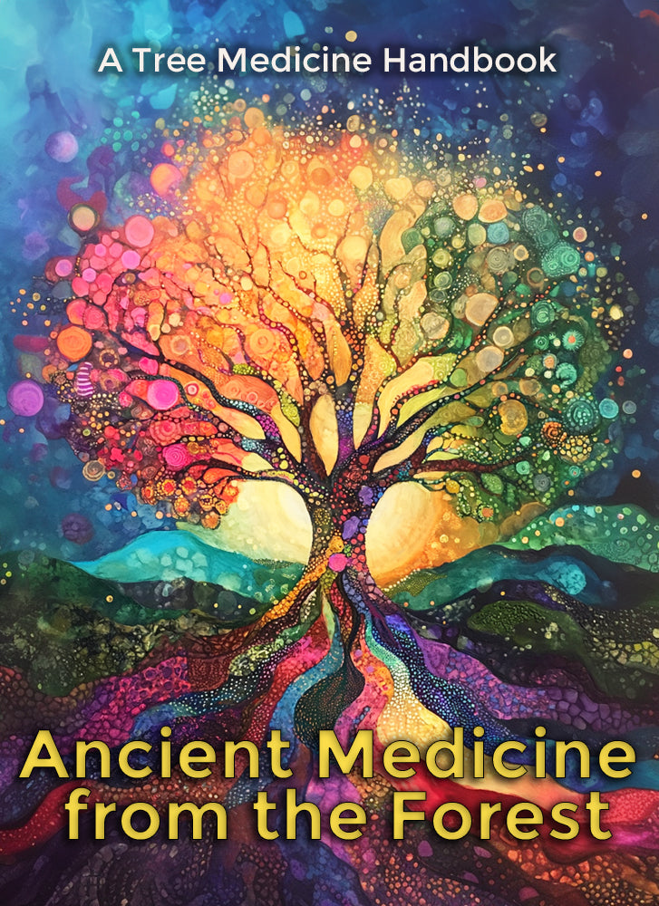 A Tree Medicine Handbook - Ancient Medicine from the Forset
