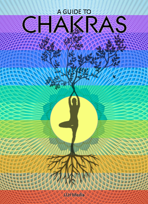Chakra Training Manual ( with Master Resell Rights )